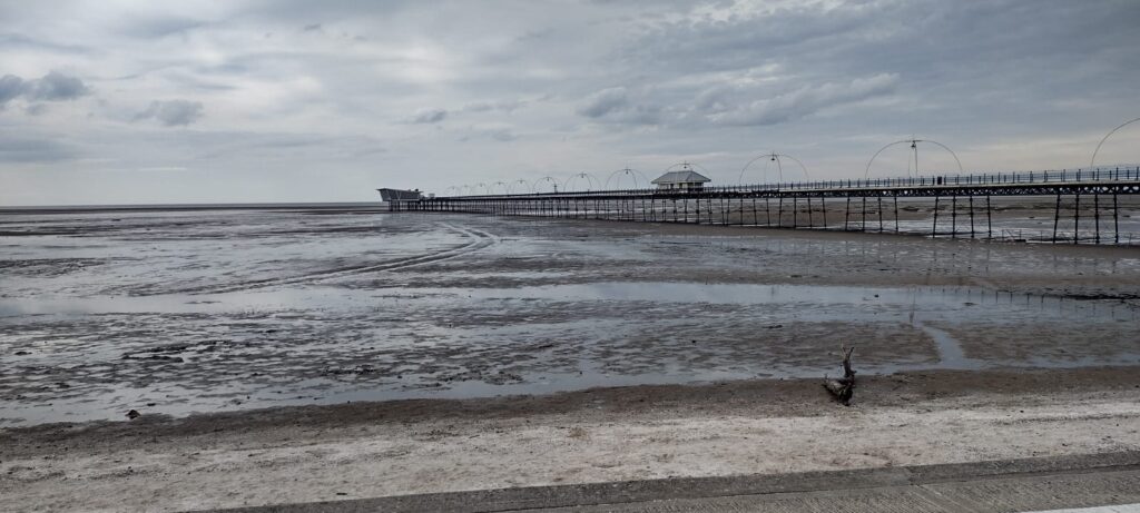 WhatsApp Image 2024 05 14 at 19.19.55